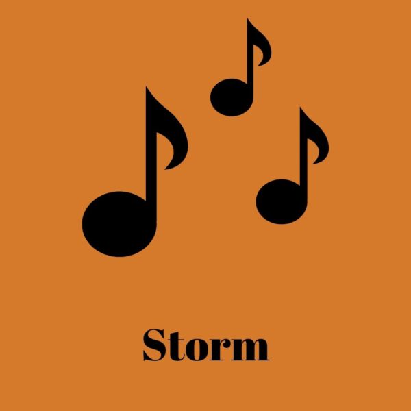 downloadable music from Elektra, live performance violin due. Track titled STORM